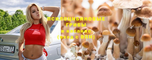 экстази Баксан