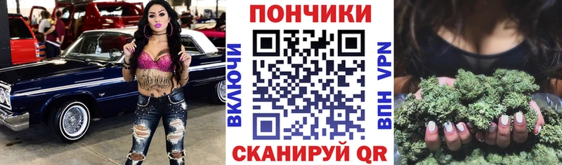 Бошки Шишки план  сколько стоит  Котельниково 